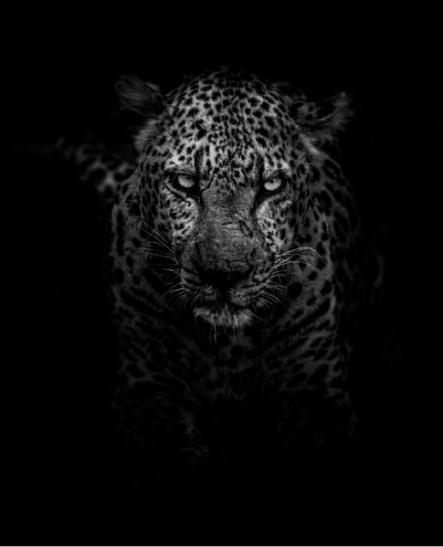 Brining soul and a spiritual vibe to your branding and online presence